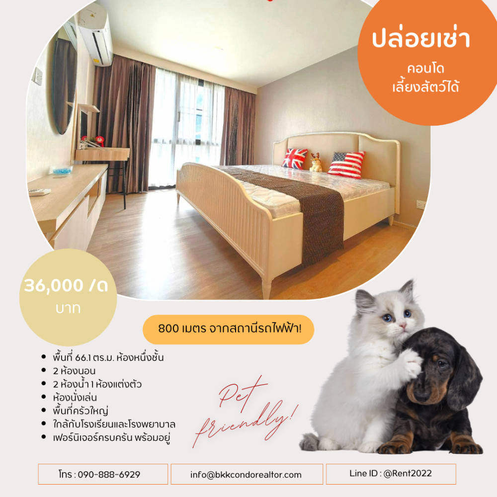 Pet friendly😸🐶 ให้เช่า📌มาเอสโตร 03 รัชดา - พระราม 9 (Line:@rent2022) ห้องสวย พร้อมเข้าอยู่ ราคาดี!!