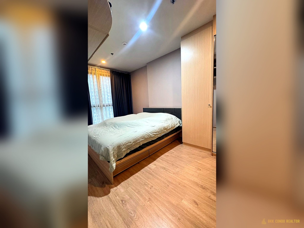 1-Bedroom Condo for Rent at Ideo O2 Bangna (33 sqm) — Bangna BTS
