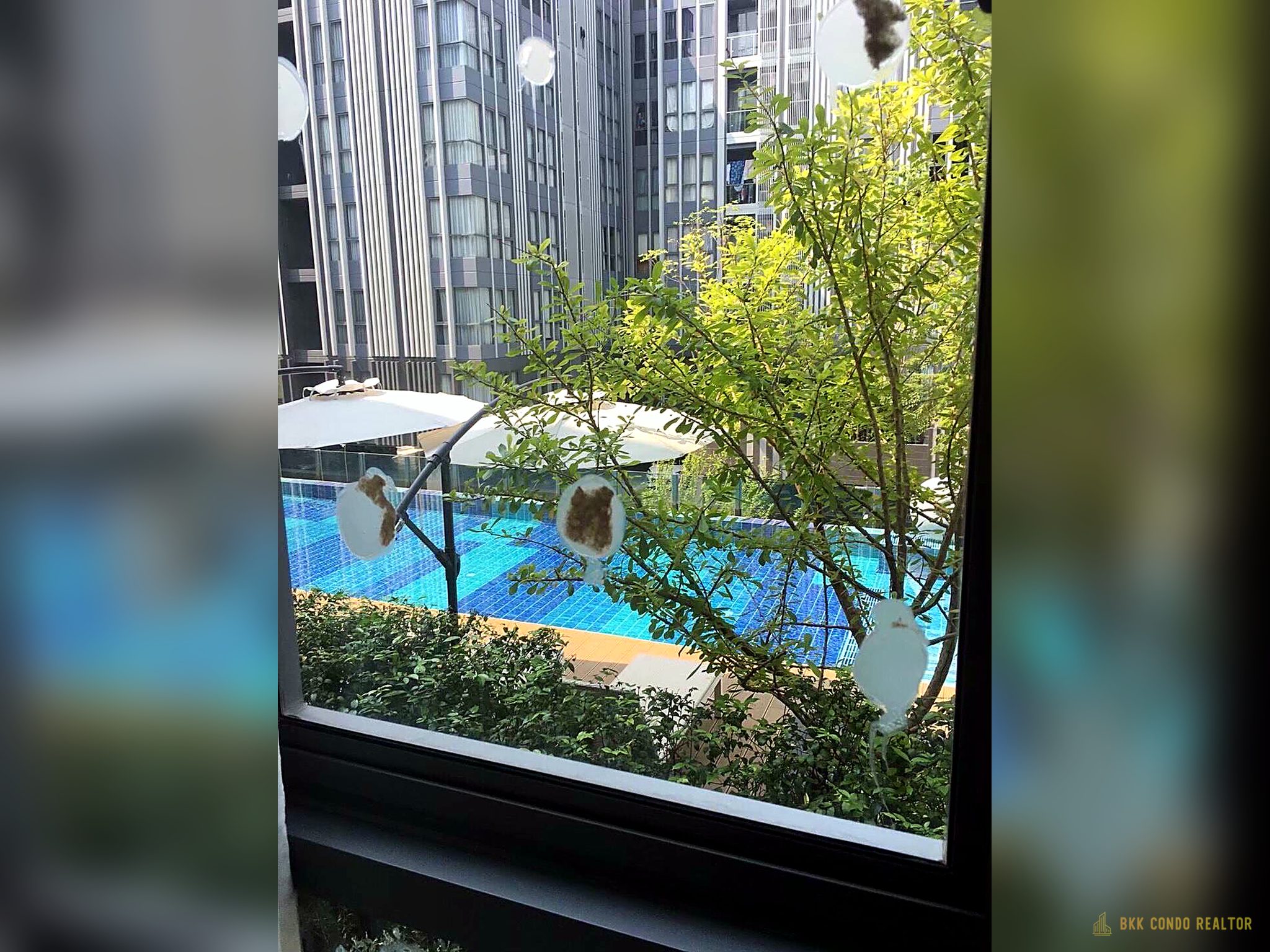 1-Bedroom Condo for Rent at Moniiq Sukhumvit 64 (32 sqm) — Punnawithi BTS