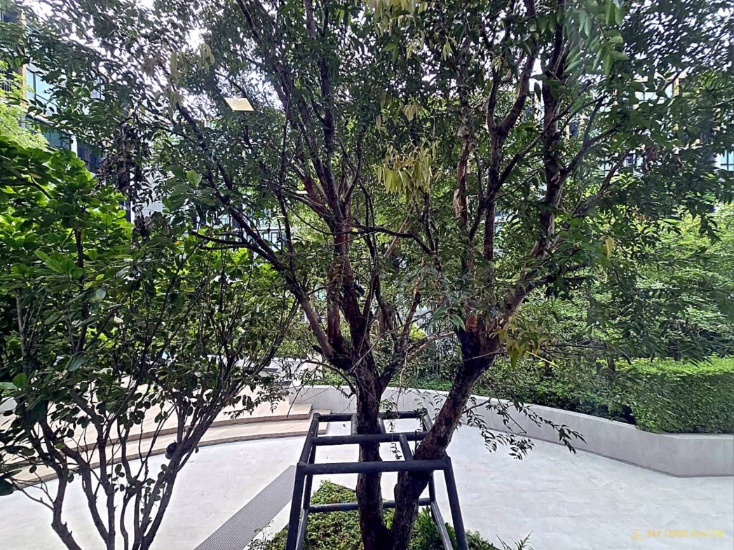 Studio Condo for Rent at Atmoz Tropicana Bangna (24 sqm) — Bangna