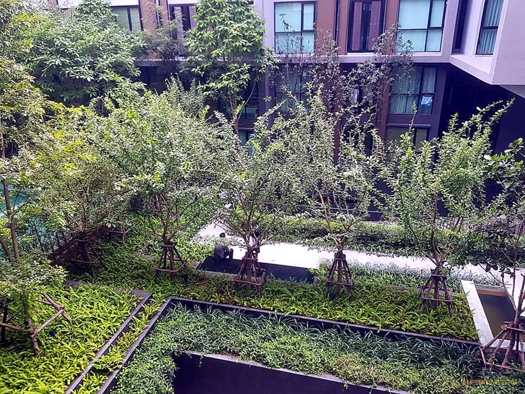 2-Bedroom Condo for Rent at Vtara Sukhumvit 36 (52 sqm) — Thong Lo BTS