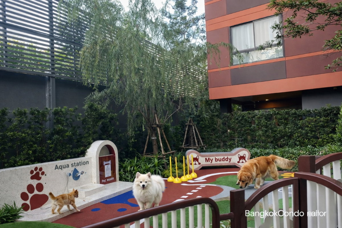 Studio Condo for Rent at The Muve Bangna (25.33 sqm) — Bangna BTS